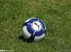 中国女子冰,壶队亚冬会,循环赛全胜,欧亿体育官网,APP下载,注册领彩金,官方网站,网站入口