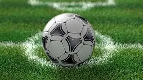 京冬奥组委会举行新春冬奥主题活动